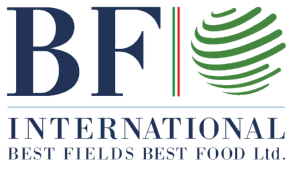 BF Ghana
